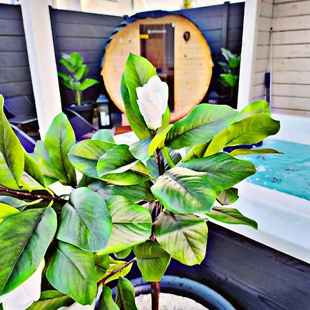 Lägenhet Lions Place Premium Comfort Optionaler Zugang Zum Spa- Bereich Heidenheim an der Brenz